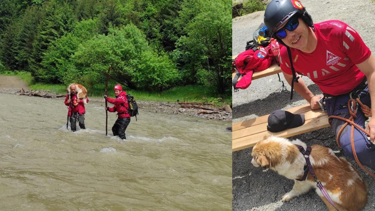 interventie opt ore salvare caine malul unui rau maramures il hraneau turisti mocanita