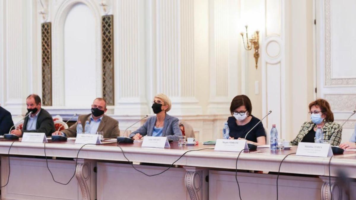 raluca turcan acreditare analist comportamental copii probleme sanatate mintala