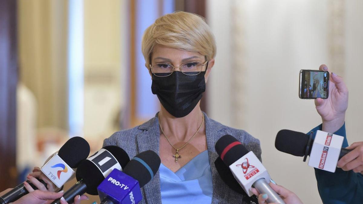 raluca turcan asistenti sociali