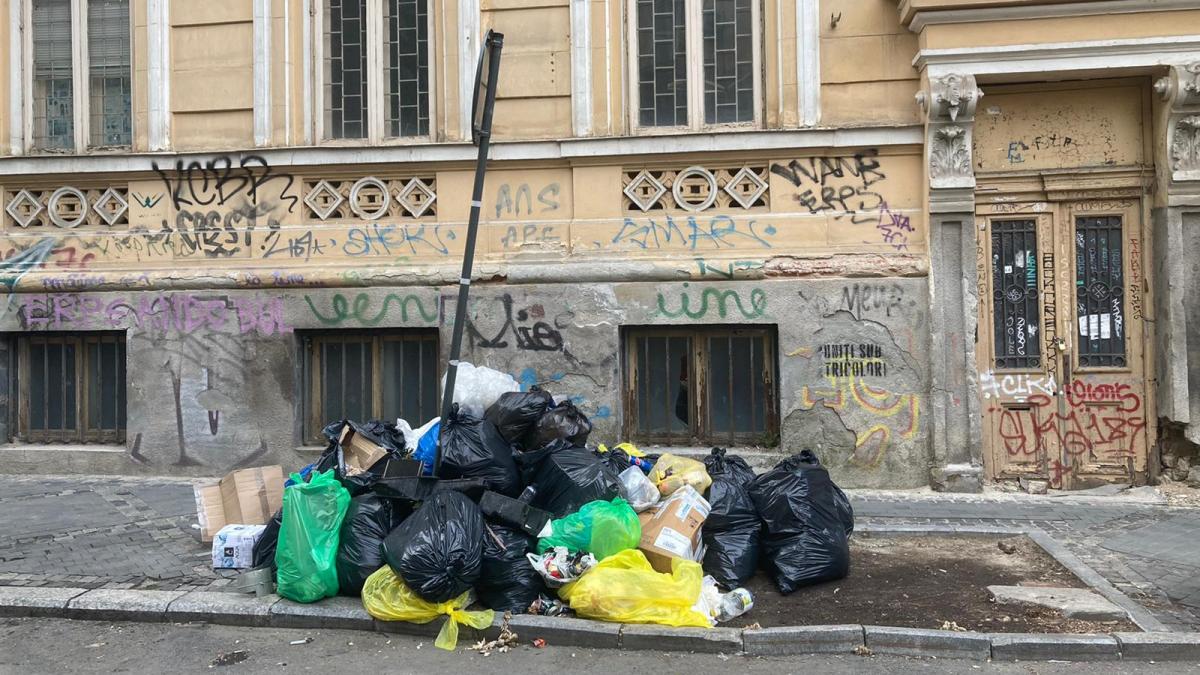 romani amendati gunoi clotilde armand amenda 2 000 de lei
