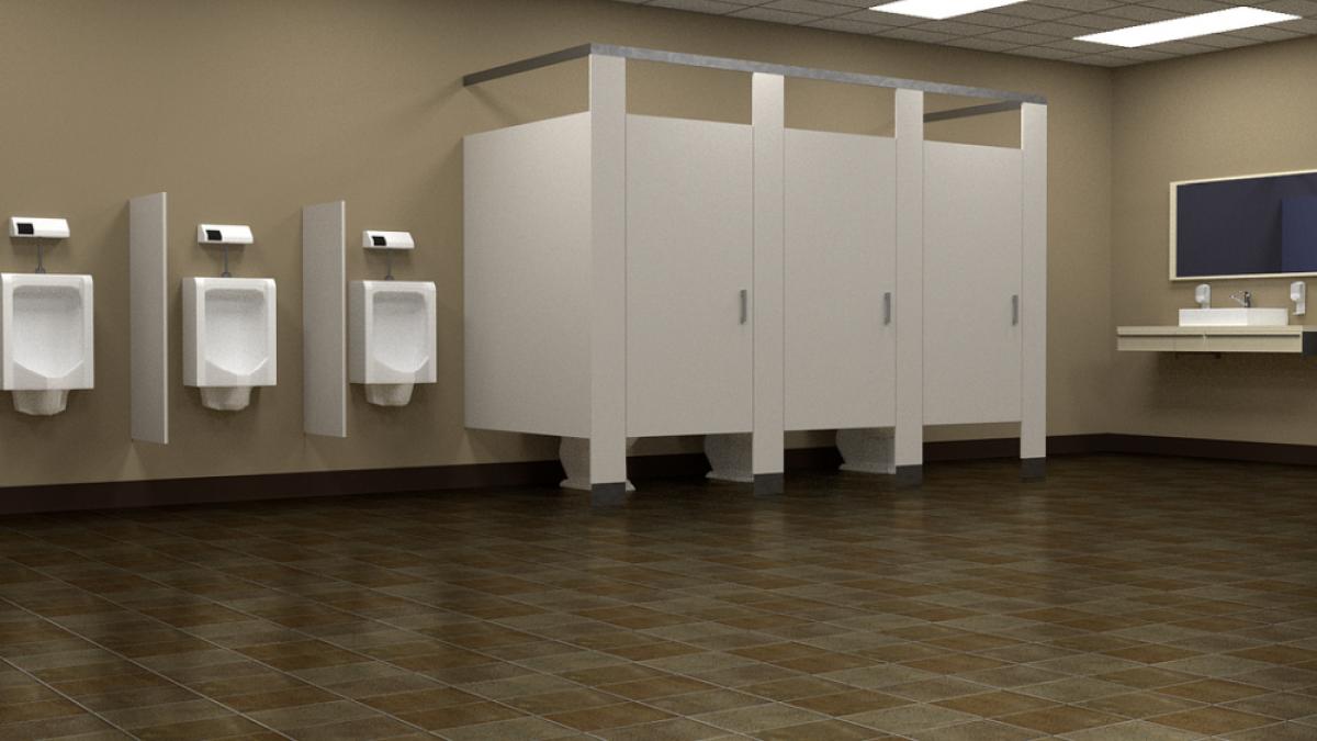 act sexual minor toaleta mall botosani