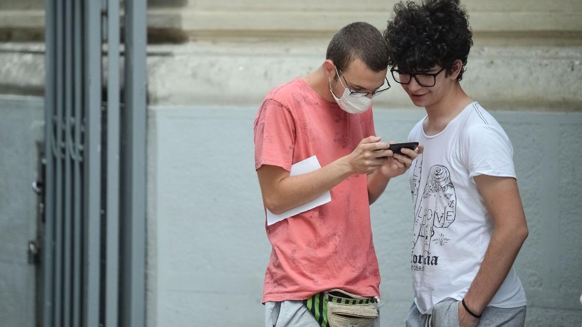 filme recomandari evaluarea nationala bacalaureat 2021 online