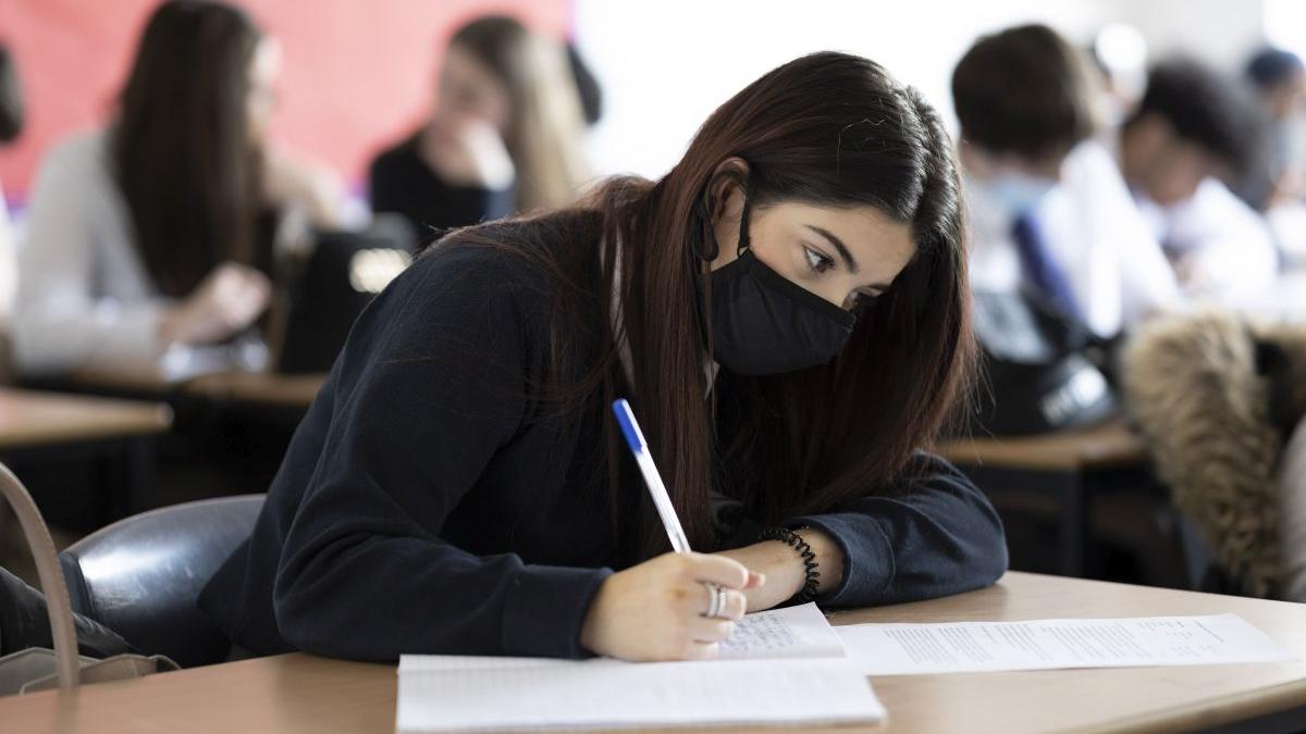 propunere modificare an scolar coalitie guvernare