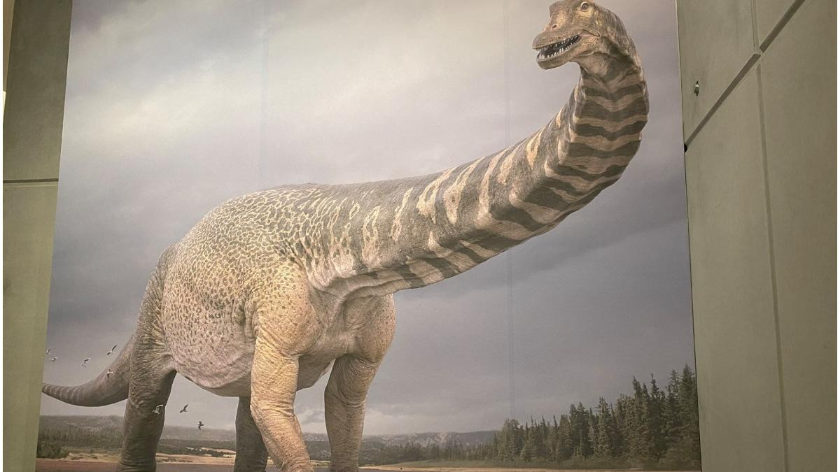 titan sudic dinozaur australia