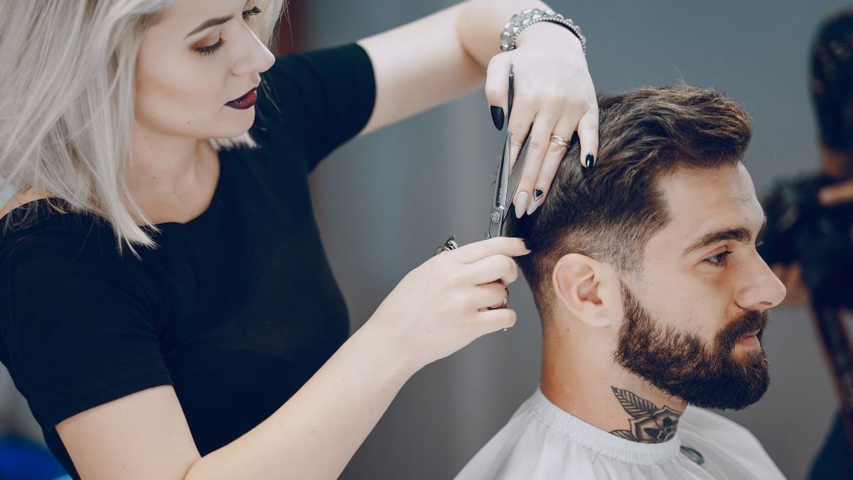 este profitabila meseria de fizer in 2021