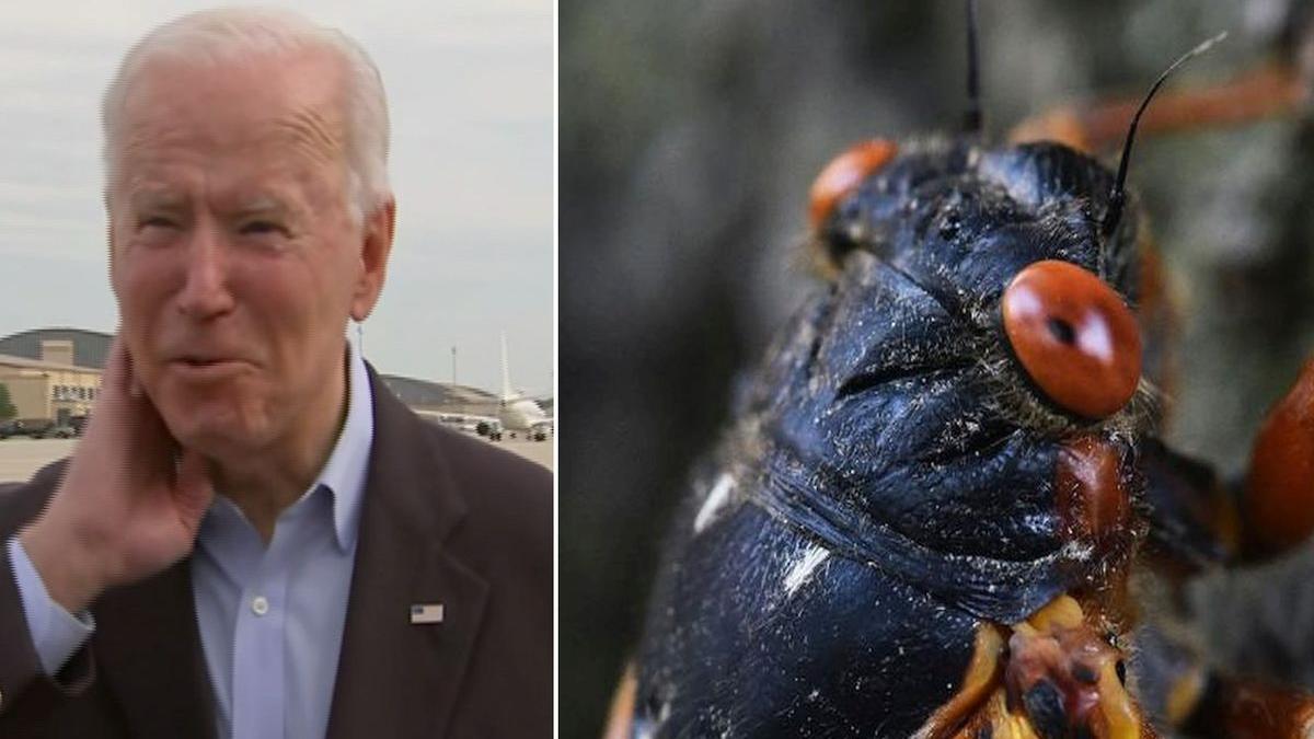 joe biden cicade europa avion jurnalisti