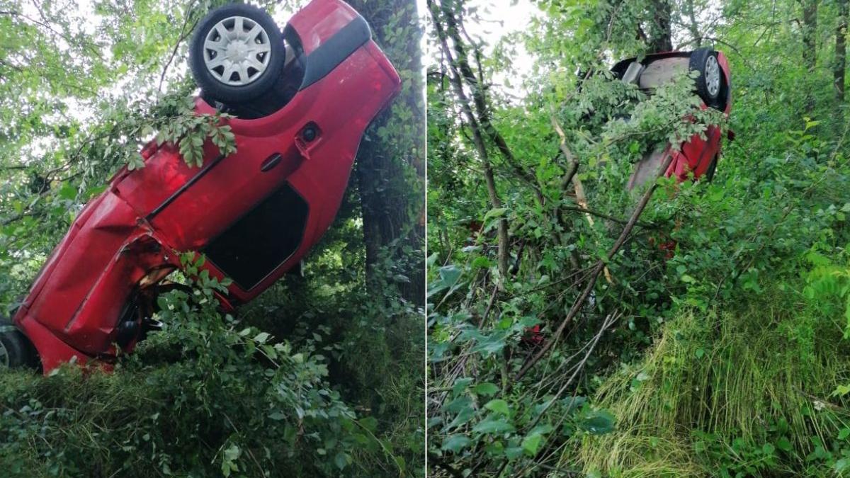 tanar arges logan copaci accident harsesti