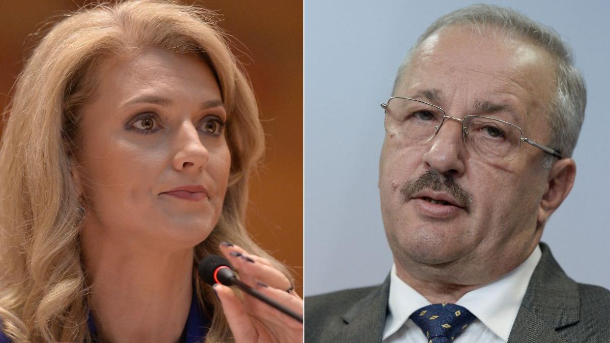 alina gorghiu replica vasile dincu