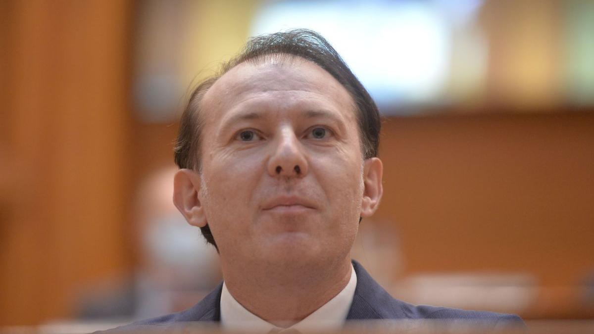 florin citu crestere investitii nete