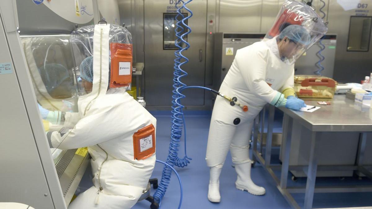 g7 organizatia mondiala a sanatatii ancheta origine covid