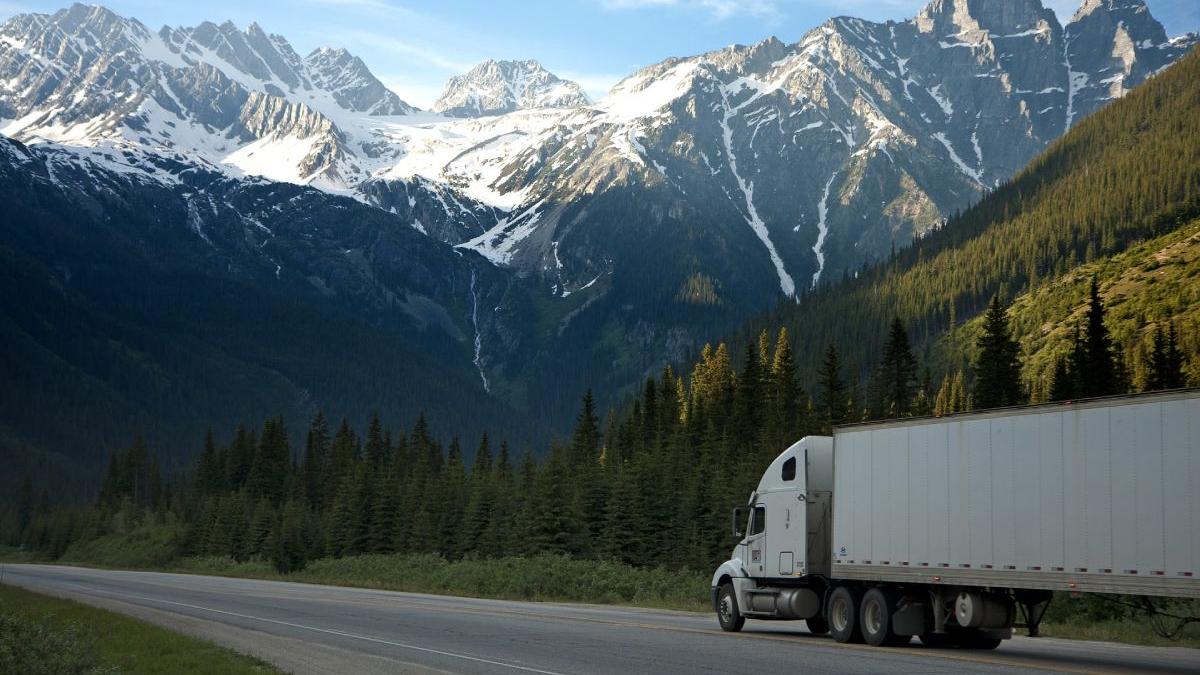 sofer roman tir condamndat franta contrabanda tigari tutun