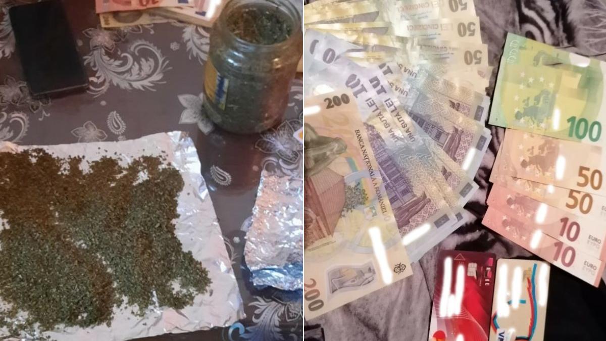 perchezitii traficanti droguri