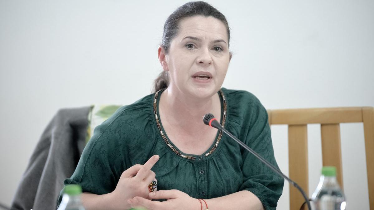 adriana saftoiu acuzatii serioase primar stefanestii jos viol minora