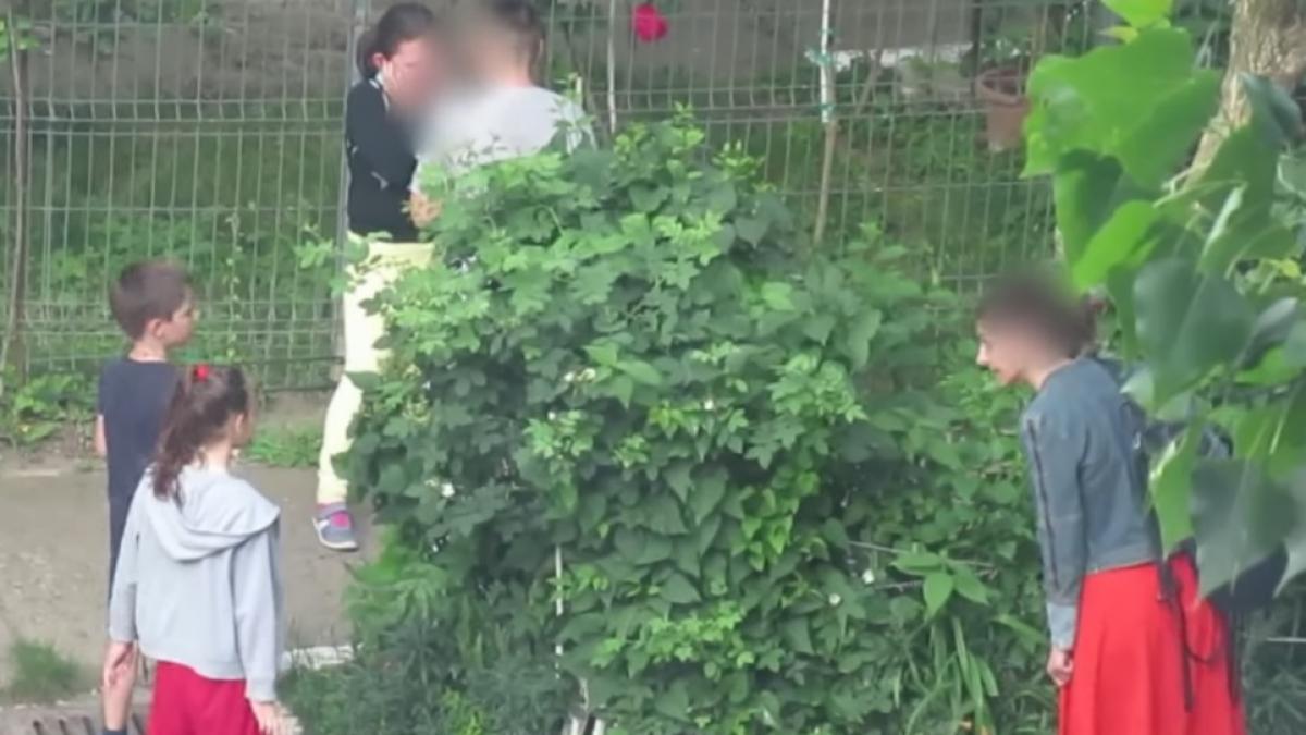 o fetita de 6 ani din iasi a trait trauma vietii ei prietenii sai au ucis un pui de pasare si au