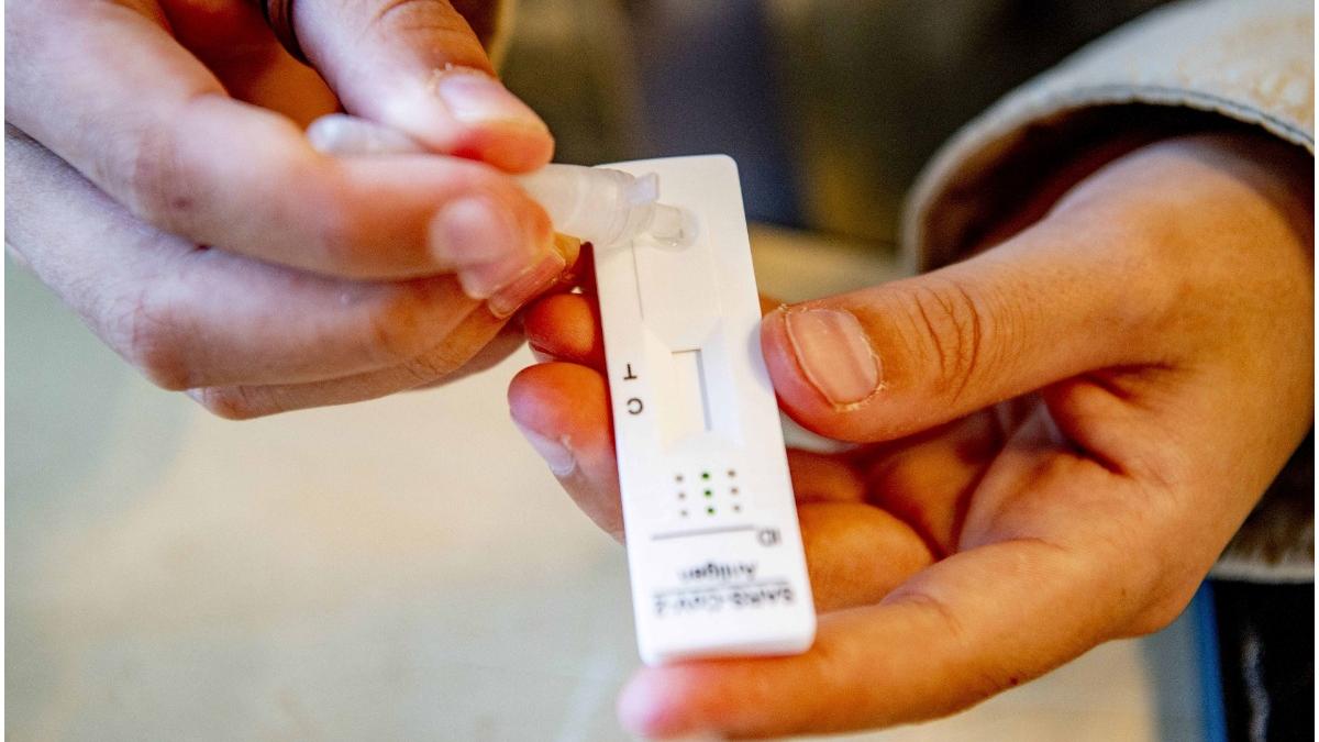 focar covid 19 franta varianta indiana