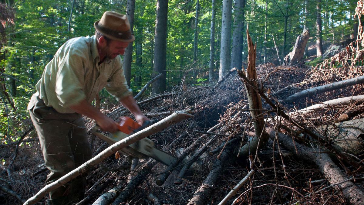 bataie drujba levierul barbati cluj spital