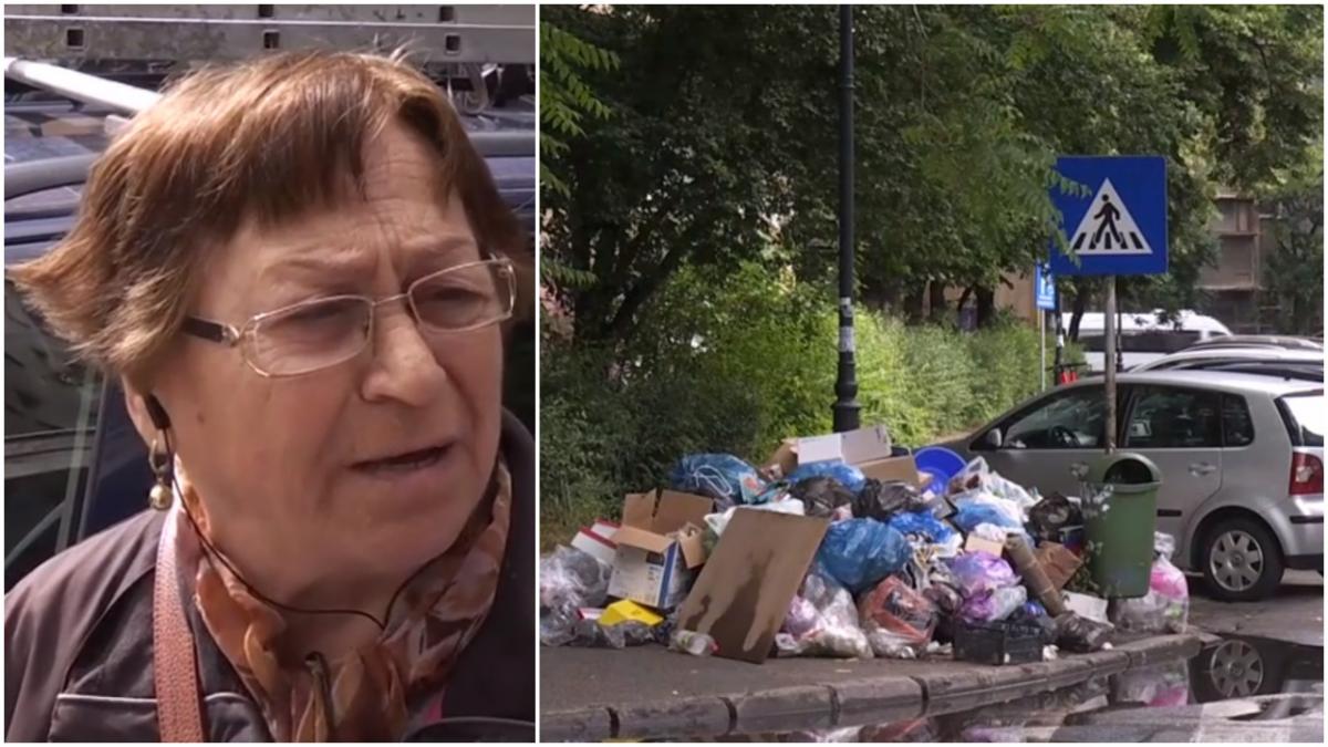 cel mai bogat sectorul 1 capitala gunoaie bucuresteni tifos