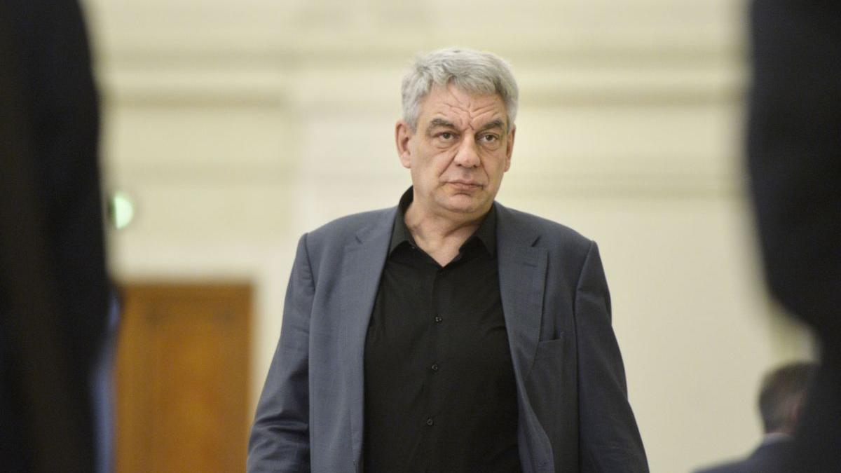 mihai tudose florin citu raluca turcan ioana mihaila