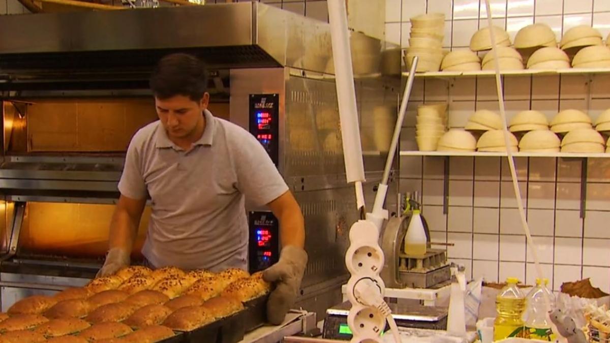 ploil recolte pamant paine scumpiri