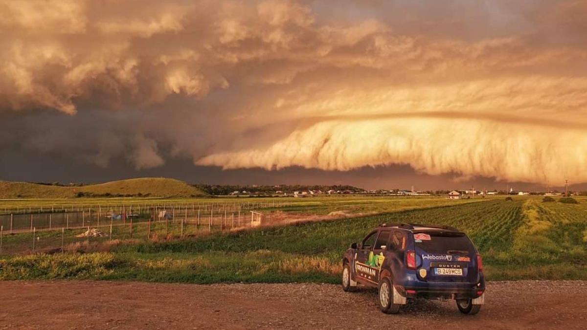 fenomen rar buzau nor urias