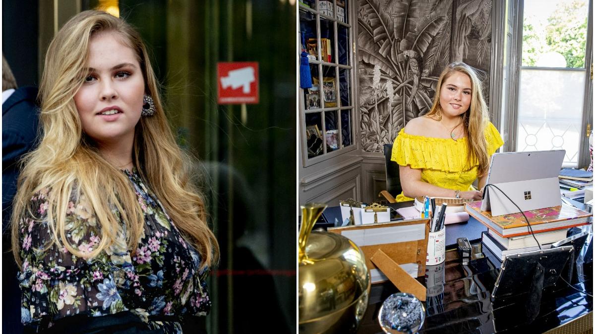 printesa amalia olanda renunta milioane euro primit de la stat
