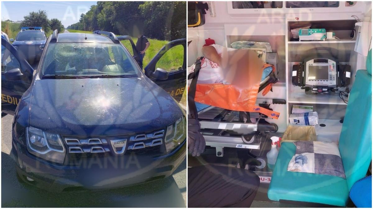 comisari garda de mediu atacati arad imagini clipe de groaza