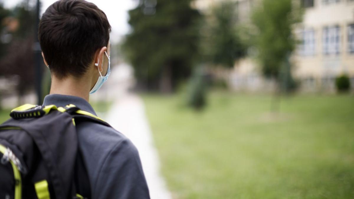 elev hunedoara strans de gat profesor