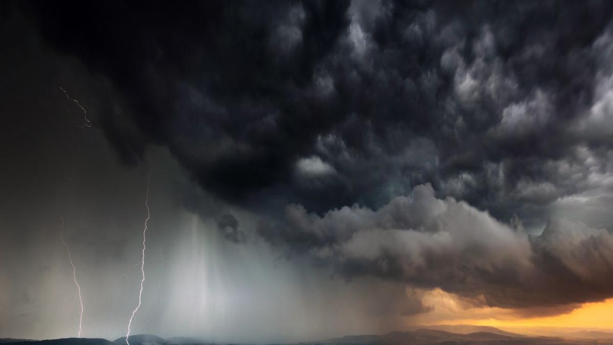 cod rosu ploi vijelii