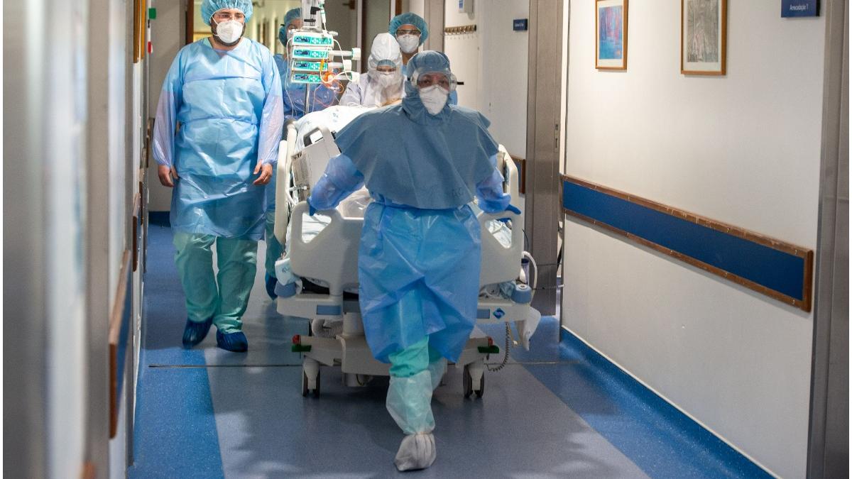 lockdown portugalia tulpina indiana