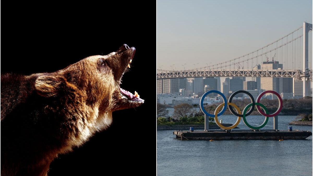 urs impuscat tokyo jocurile olimpice