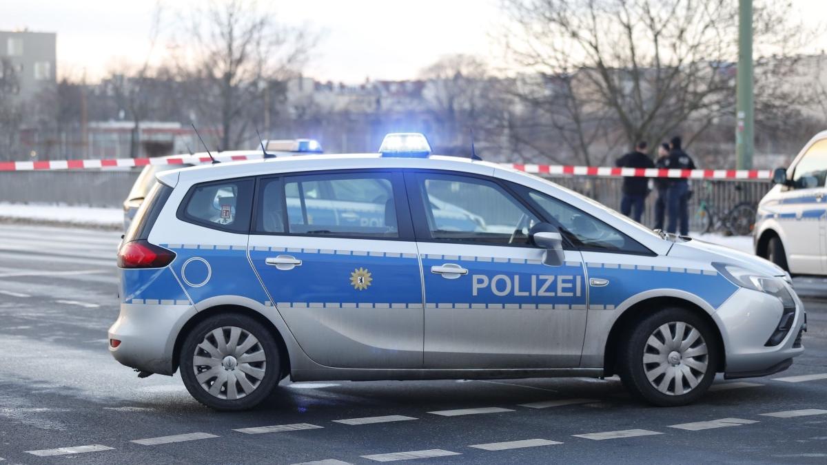 adolescent roman injunghiat fratele unui tanar inecat rau germania