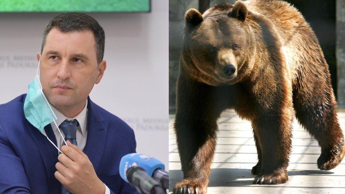 greenpeace romania il acuza pe tanczos barna legalizarea vanatorii la trofeu