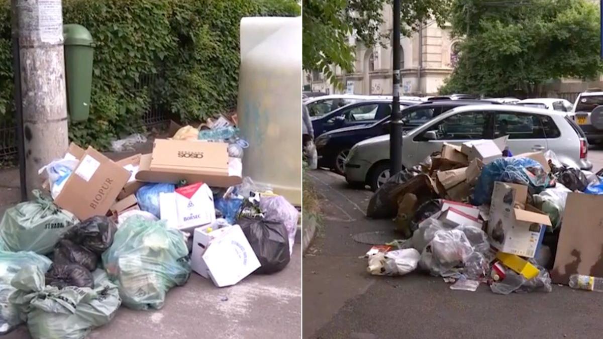 scandal gunoaie sectorul 2