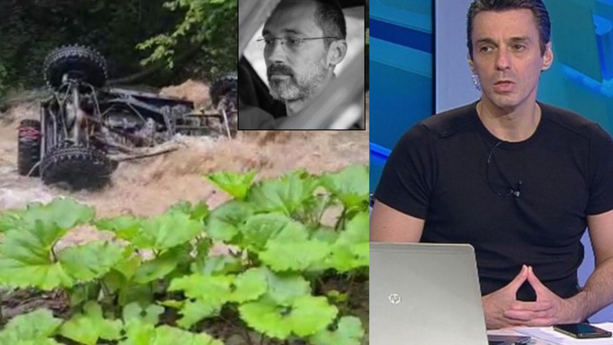 verdictul lui mircea badea cine este vinovat in cazul mortii pilotului