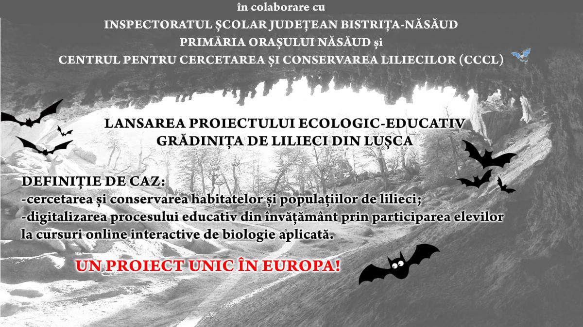 prima gradinita lilieci din europa romania lusca nasaud