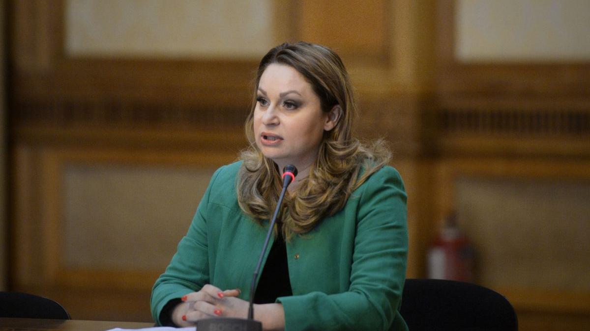 cna nou presedinte cristina pocora singurul candidat