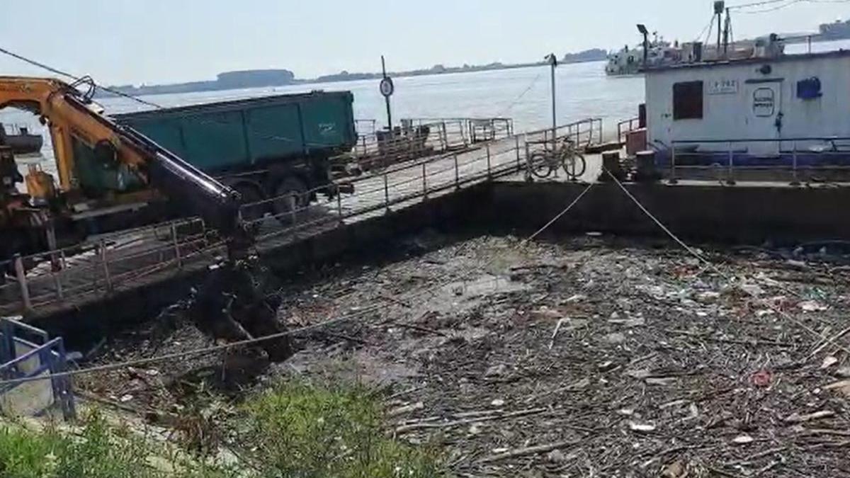 dunare sufocata de gunoaie