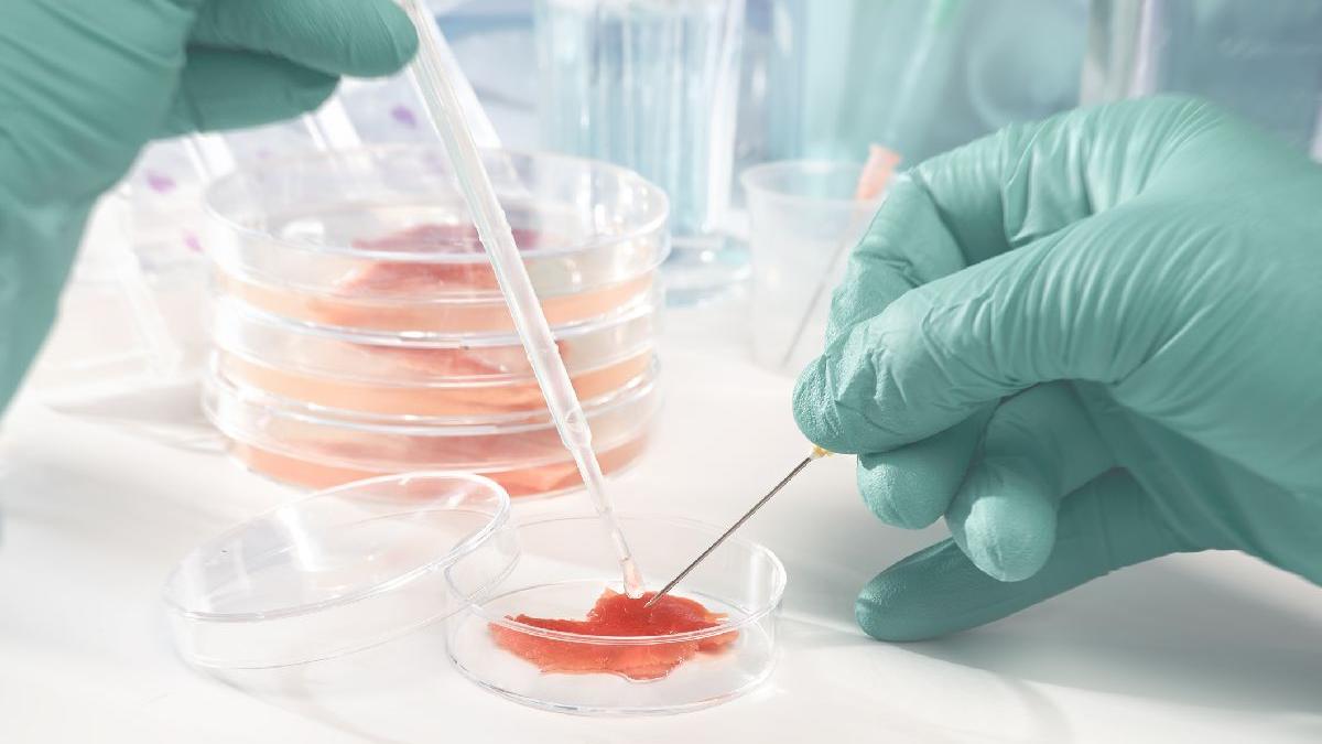 restaurant pui artificial