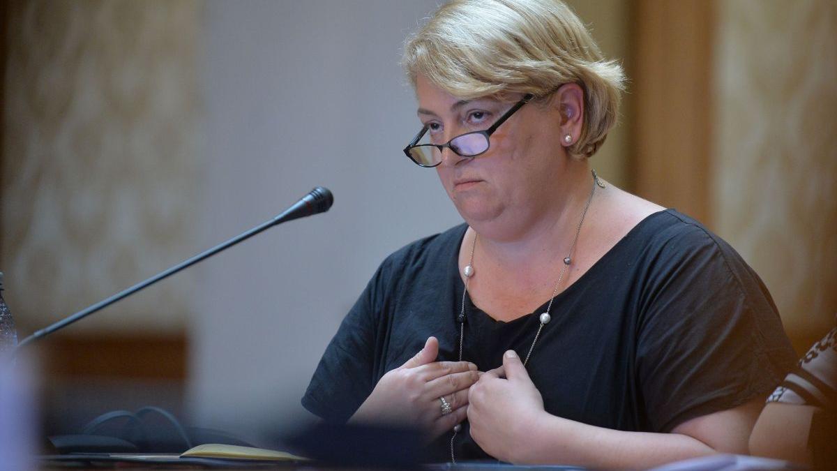 doina gradea ilegalitati tvr numiri sefi interimari coalitie sfidare ccr