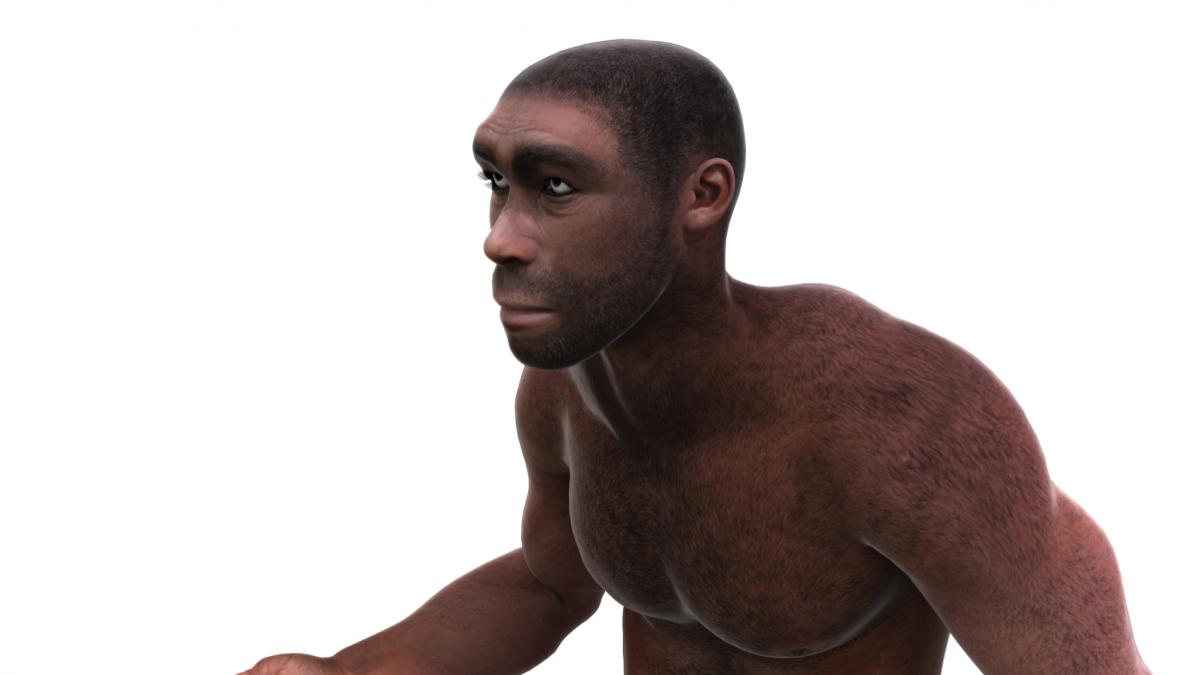 om preistoric specie nesher ramla neanderthal levant europa israel