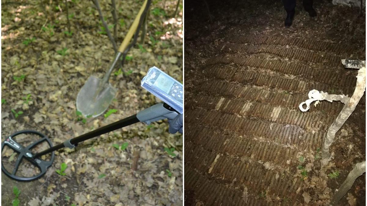 barbat suceava ciuperci arsenal