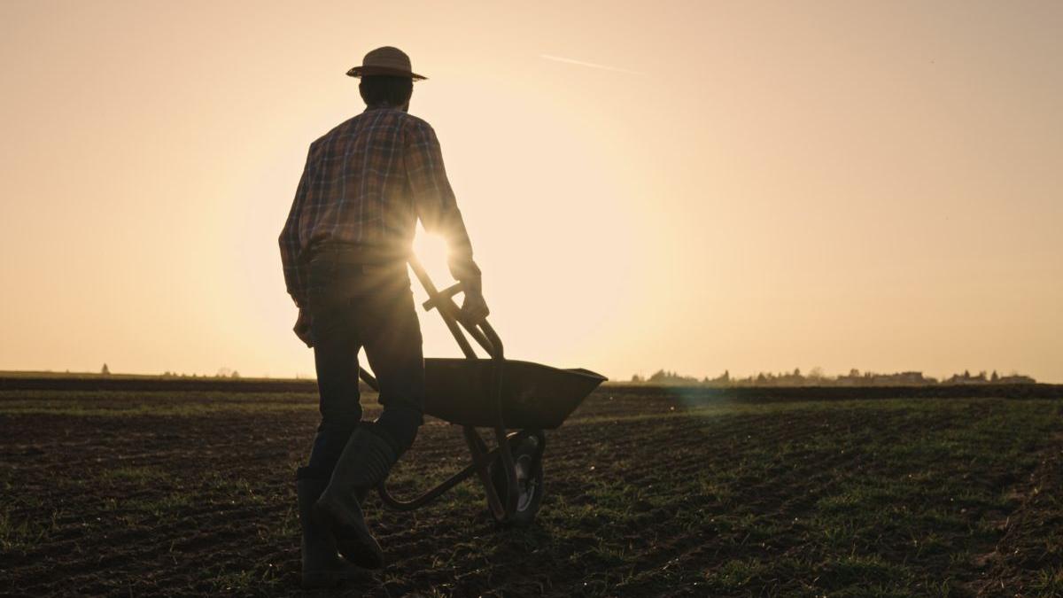 tanar 27 ani mort camp canicula italia
