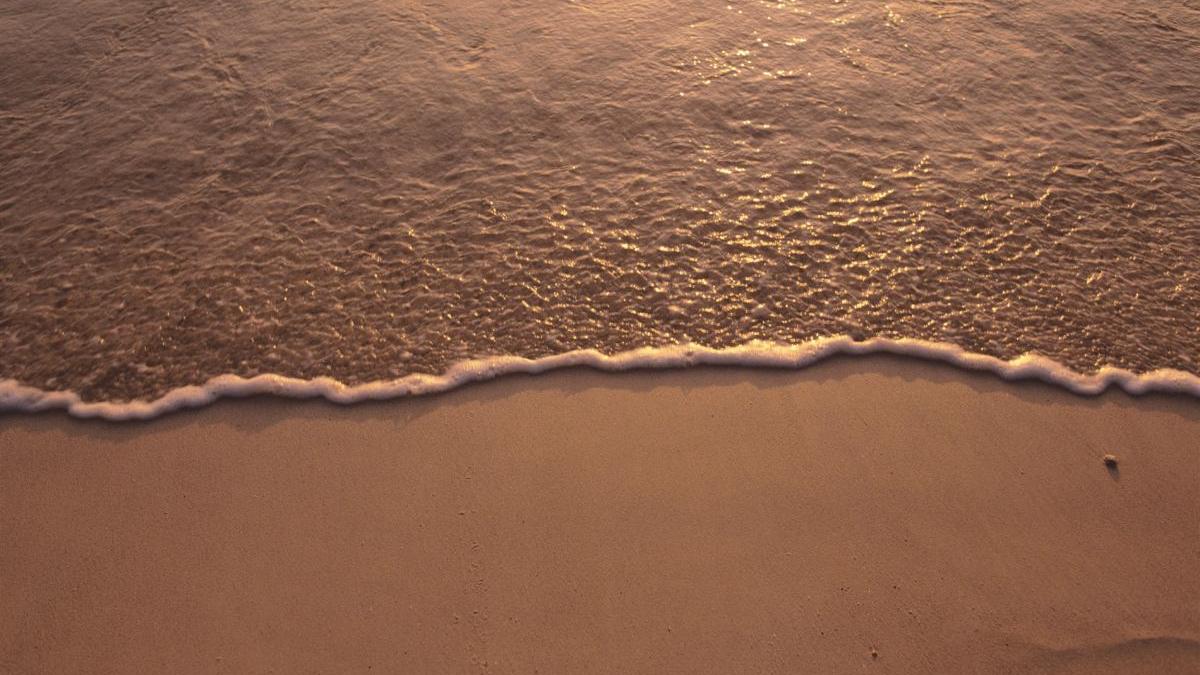 tragedie plaja albania patru barbati murit impuscati