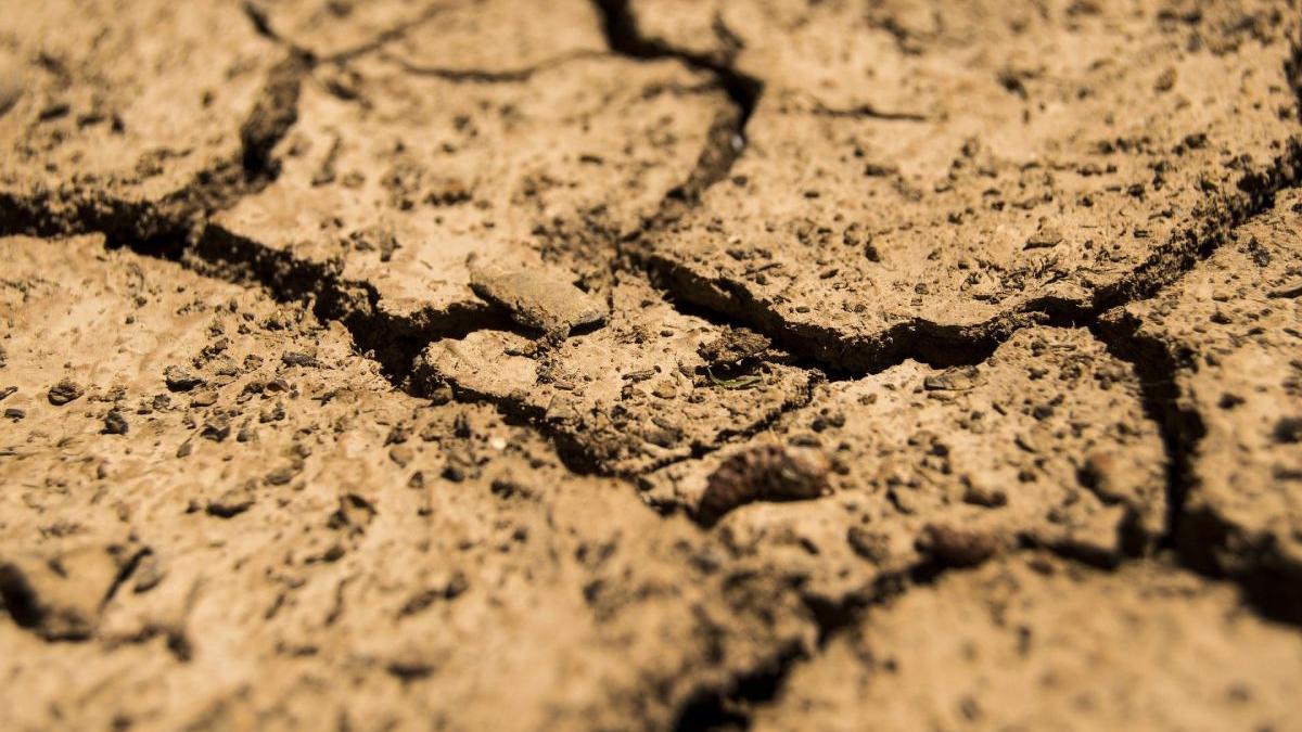 avertisment director anm romania lovita seceta