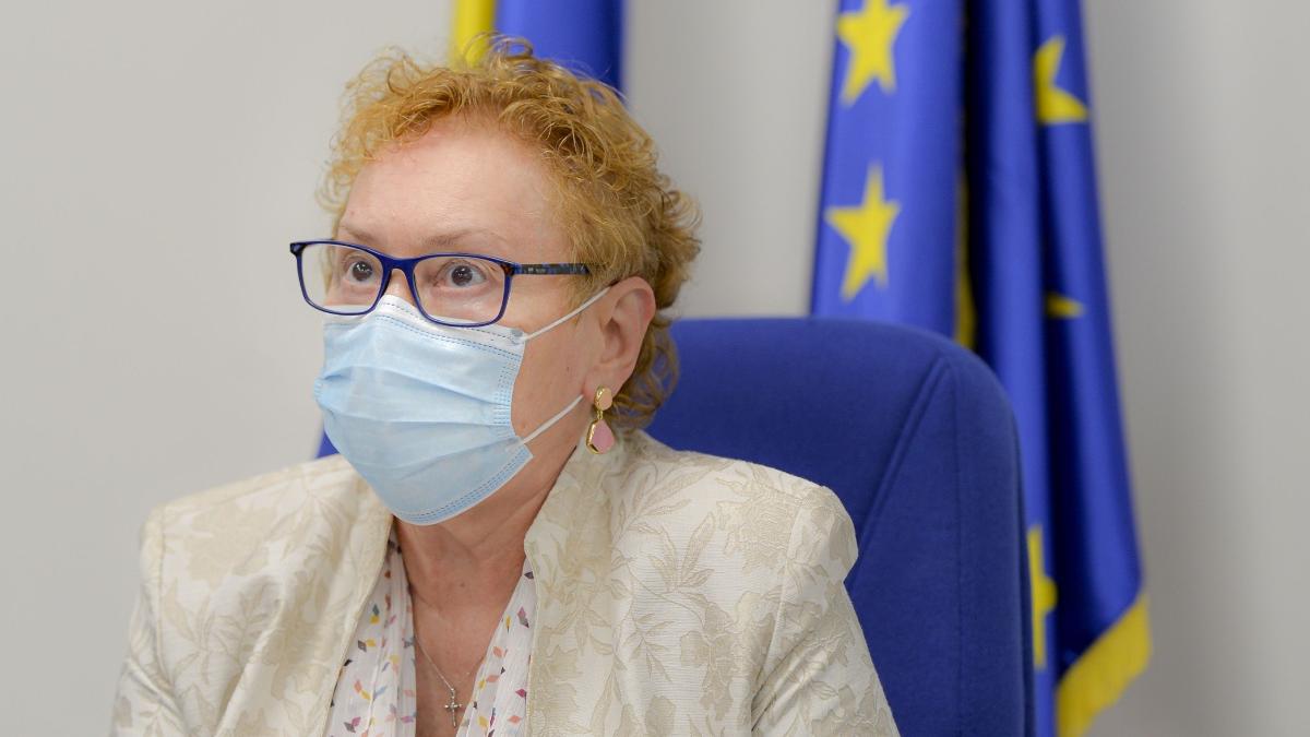 ccr revocarea lui renate weber din functia de avocat al poporului nu este constitutionala