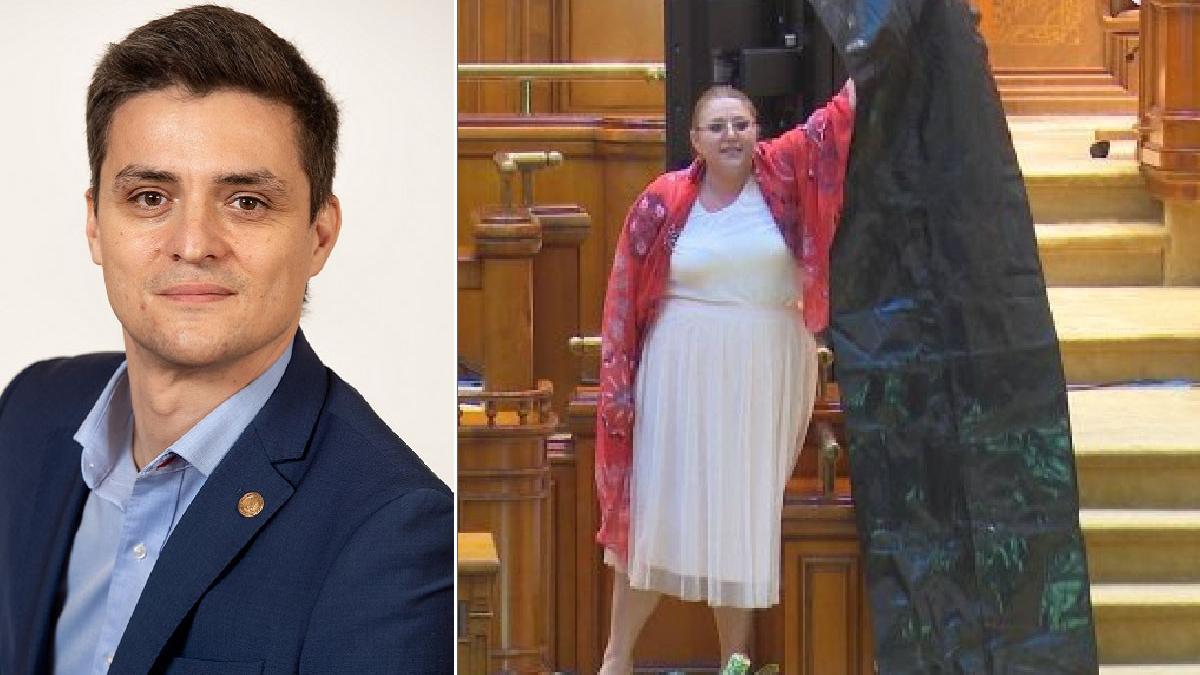 chestorul senatului sergiu vlad agresat fizic senatoarea diana sosoaca