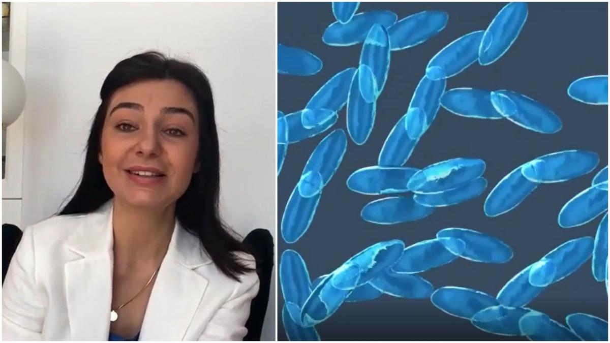 neglijarea microbiomului sanatate digestie greutate