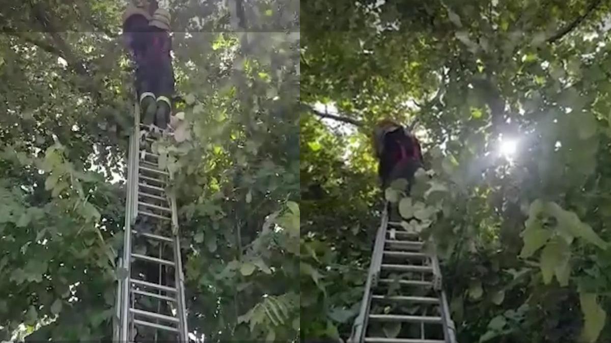 barbat vaslui tei pompieri