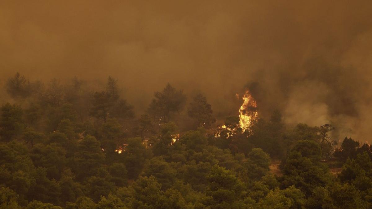 grecia mae risc vegetatie incendii