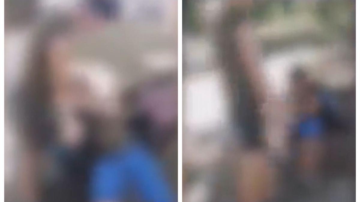 elev batut umilit colegi bihor